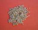 barley-pile.jpg