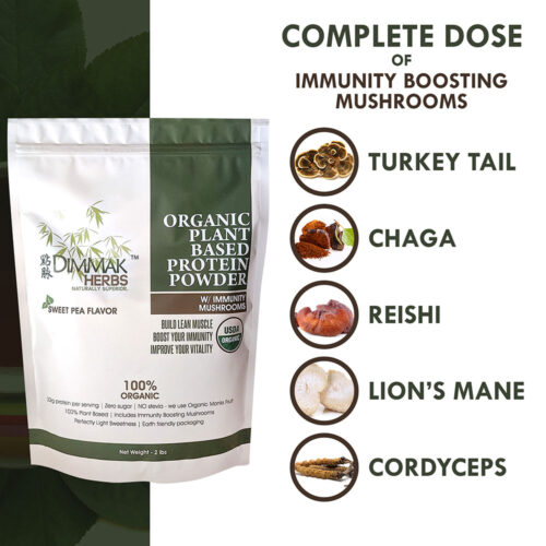 Organic Plant Based Herbal Protein Powder + Immunity Mushrooms by Dimmak Herbs | 22g Pea Protein, Monks Fruit, ZERO Sugar