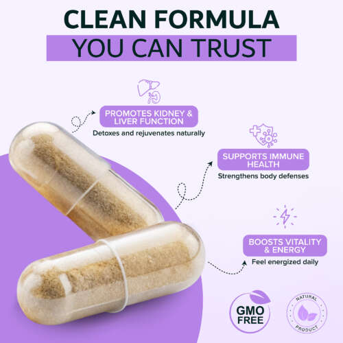 ~ai-1e2daf4a-8a4a-45f0-be87-c78ea0360d5f_